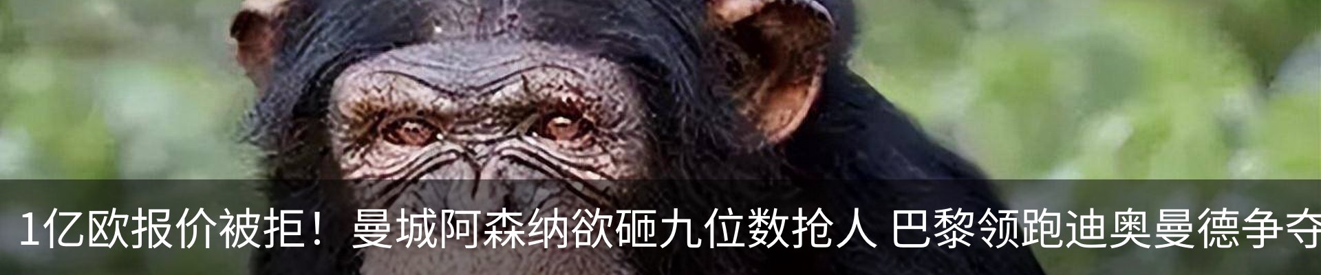 资讯动态